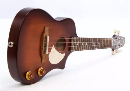Seagull Guitars - S46355 2